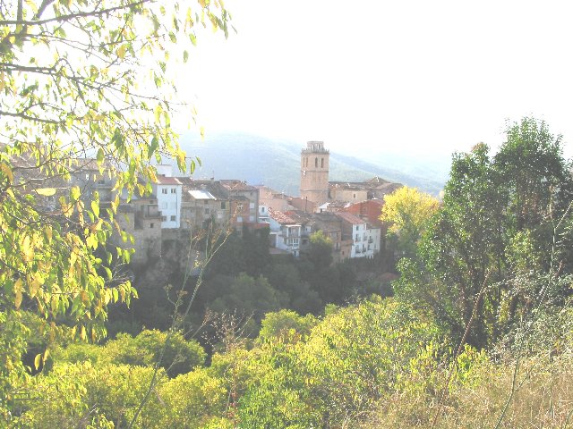la floresta